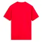 CAMISETA ALPINESTARS MX HELMET