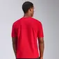 CAMISETA ALPINESTARS MX HELMET