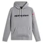 MOLETOM ALPINESTARS LINEAR WORDMARK V3 HOODIE
