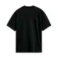 CAMISETA ALPINESTARS PLATE