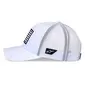 BONÉ ALPINESTARS FLAG SNAPBACK - ALG