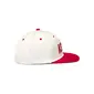 BONÉ ALPINESTARS STADIUM SNAPBACK