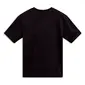 CAMISETA ALPINESTARS CYPRESS