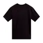 CAMISETA ALPINESTARS ELLIPTOGRIT