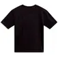 CAMISETA ALPINESTARS P1