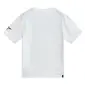 CAMISETA ALPINESTARS P1