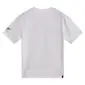 CAMISETA ALPINESTARS RACE WORDMARK